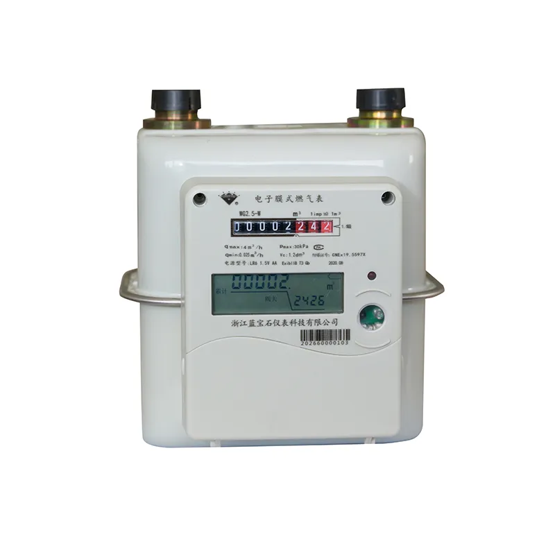 Электронный мембранный газовый счетчик со стальным корпусом (1)